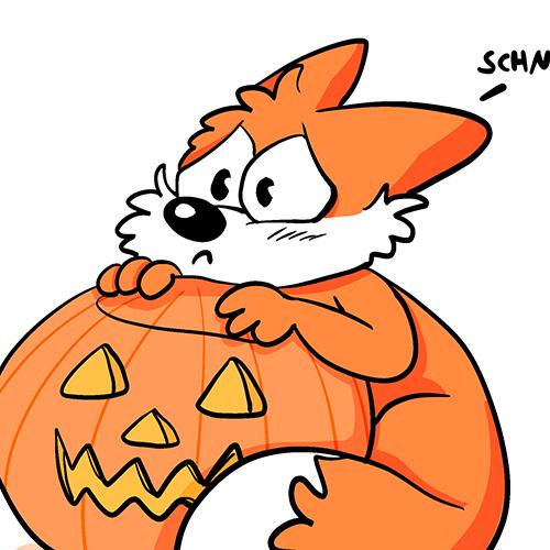 daniela schreiter Oktober