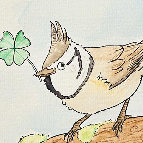 daniela schreiter aquarerell watercolor haubenmeise klee