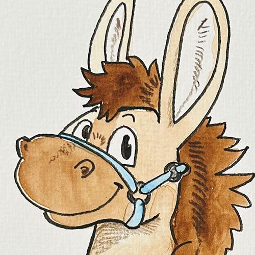 daniela schreiter Esel